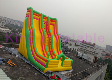 Giant Double Lane Inflatable Dry Slide Colorful Cartoon Printing For Amusement Park