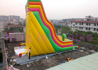 Giant Double Lane Inflatable Dry Slide Colorful Cartoon Printing For Amusement Park