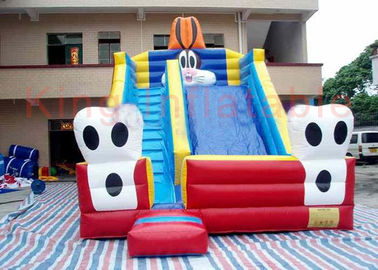 Playground Funny Inflatable Dry Slide , Outdoor Multicolor Inflatable Animals Slide