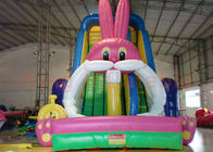 Playground Funny Inflatable Dry Slide , Outdoor Multicolor Inflatable Animals Slide