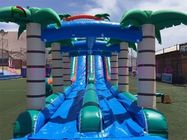 Selva Double Lanes PVC Inflatable Water Slide Green / Blue Slide With Swimming Pool