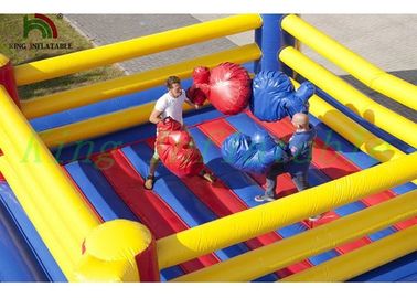 Adults And Children  Inflatable Sports Games Customize Boxing Playground