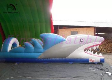 Shark PVC Inflatable Water Slide , Custom Amazing Thrilling Mini City Slide