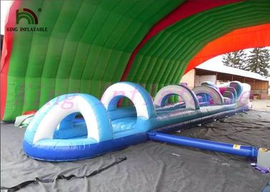 Shark PVC Inflatable Water Slide , Custom Amazing Thrilling Mini City Slide