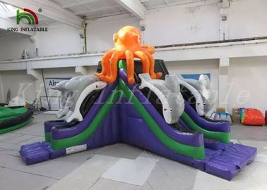 Amazing Blow Up Dry Slide Sea Animal Theme For Rental Customize Size