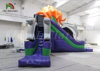 Amazing Blow Up Dry Slide Sea Animal Theme For Rental Customize Size