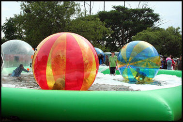 Mixed-color 2m Diameter Customized PVC Wak On Water Ball For Water Park