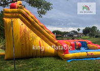 Colorful Big Inflatable Dry Slide / Children 'S Bounce House With Slide