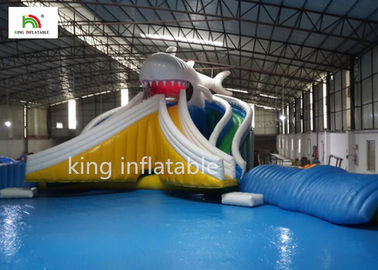 Giant Cartoon Inflatable Swimming Pool With Two Side Slide Double Sewing