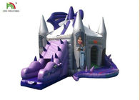 Purple Dragon Inflatable Jumping Castle With Slide For Birthday