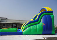 Toddler Inflatable Water Slide Customized 0.55mm PVC Tarpaulin Double Lanes
