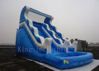 Outdoor Playground Amusement Park Water Slide Blue Color 1 Year Warranty