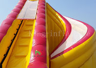 Summer Slip Water Park Ocean Type Inflatable Outdoor Water Slide For Kids