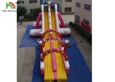 Customized Size Pink PVC Tarpaulin Inflatable Water Slide Outdoor Amusement Park For Kids