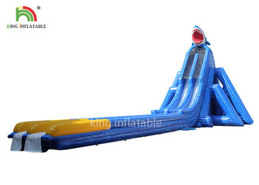 Anti - Tear Beach Giant Inflatable Water Slide Blue Double Lanes For Adults