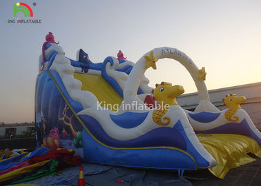 PVC Tarpaulin Blue Inflatable Bouncers Toddler Slide Playground Theme Park