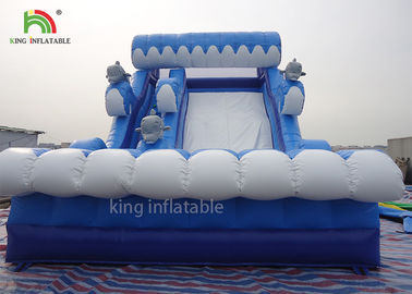 Shark Model Inflatable Dry Slide Adults Play For Beach 2 Years Warranty