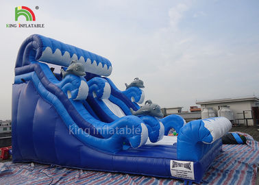 Shark Model Inflatable Dry Slide Adults Play For Beach 2 Years Warranty