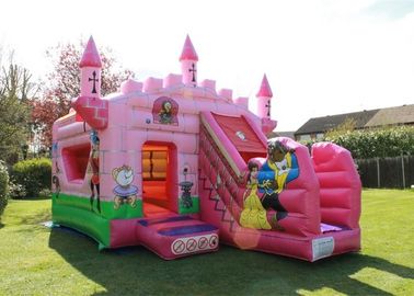 Waterproof 5x4m Inflatable Jumping Castle Customised Birthday Parties Princess Palace