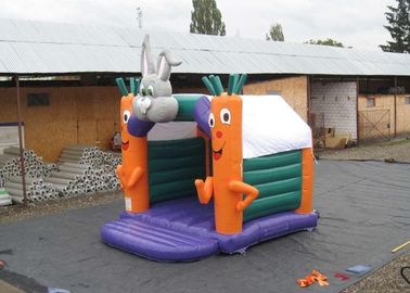 Party Used Small Kids Inflatable Jumping Castle With Carrot And Rabbit 4X4M