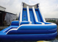 Customize Inflatable Water Slide / Kids Amusement Park 0.55 mm PVC Tarpaulin