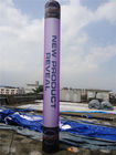 6m Purple High Shining Inflatable Advertising Products / Large Advertising Balloons