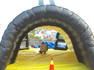 Customized Inflatable Dome Tunnel Tent / Outdoor Inflatable Projective Events Tent