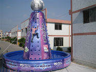 Violet Giant Inflatable Sports Games Amusement Park Equipment Violet