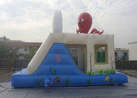 7m x 3m Inflatable Jumping Castle With Slides Up And Down / Inflatable bouncer For Kids