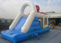 7m x 3m Inflatable Jumping Castle With Slides Up And Down / Inflatable bouncer For Kids