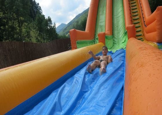 0.55mm Plato Inflatable Water Slide With Swimming Pool