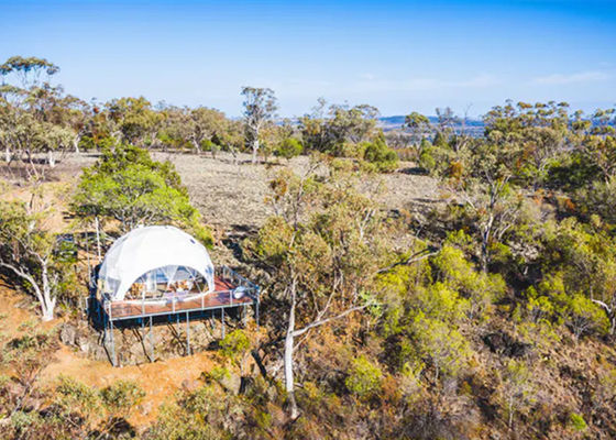 Portable 5m Geodesic dome Tent Geodesic Star frame Tent With Clear Pvc Cover