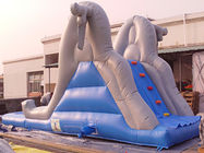 Commercial Inflatable Water Slide Pool For Kids Amusement Games