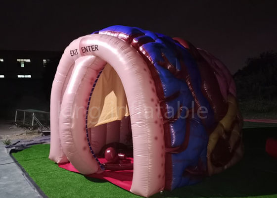 Exhibition Inflatable Simulation Human Brain Model For Medical Show