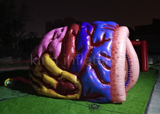 Exhibition Inflatable Simulation Human Brain Model For Medical Show