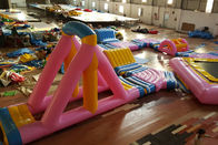 Pink Amusement Inflatable Water Park With Color Printing