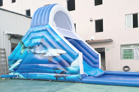 Full Printing Shark Theme 8.5m By 3m Inflatable Water Slide