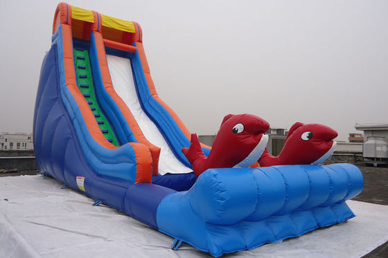 Single Lane Fish Decorated Blow Up Water Slide PVC Swimming Pool for Sale