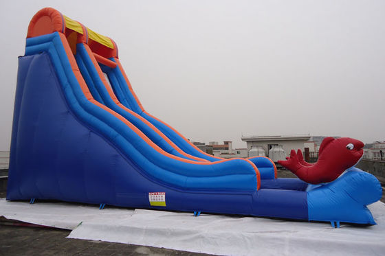 Single Lane Fish Decorated Blow Up Water Slide PVC Swimming Pool for Sale