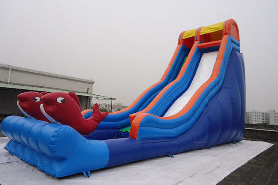 Single Lane Fish Decorated Blow Up Water Slide PVC Swimming Pool for Sale