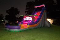 Custom Design Inflatable Water Slide With LED Light For Rental Business