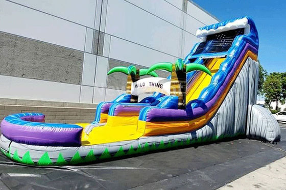 Custom Design Inflatable Water Slide With LED Light For Rental Business