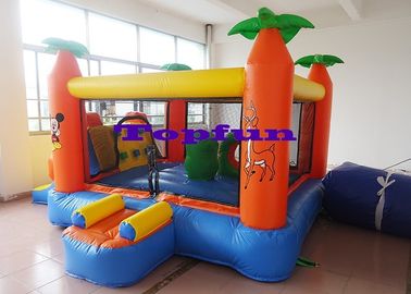 Cartoon Themed Commercial Bounce Houses With Net Door and Slide