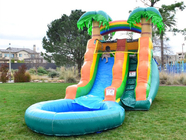 OEM Plato PVC Outdoor Inflatable Water Slide For Children