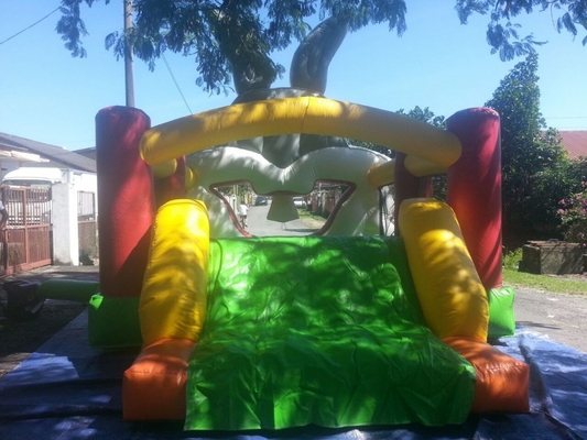 Rabbit Inflatable Bouncer Castle With Slide 6x3.5x2.5m