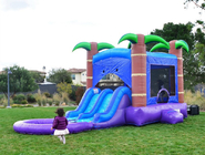 Colorful Inflatable Palm Tree Screamer Water Slide 0.55mm Plato PVC Material
