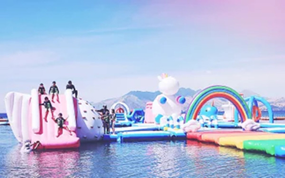 Unicorn Themed Blow Up Water Parks 100 person Capacity