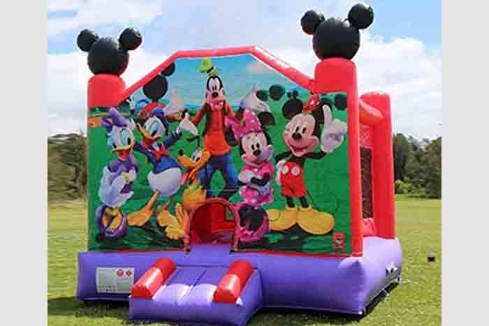 Commercial Adult Bouncy Castles Outdoor Party Indoor Sale Child Inflatable Bouncy Castle