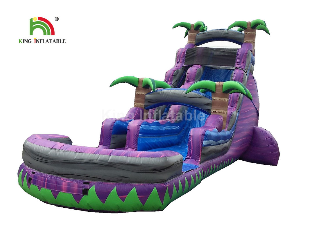 30ft inflatable water slide