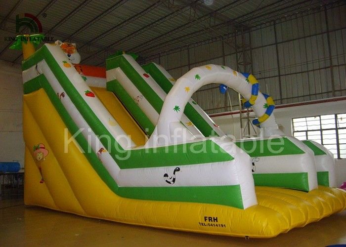 Inflatable PVC Tarpaulin Animal Kingdom Dry Slide , 7 x 5m Kindergarten Custom Slide